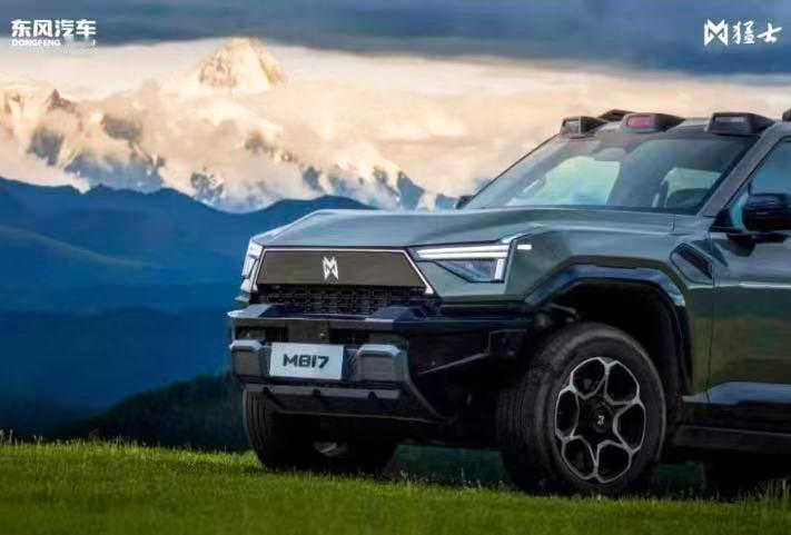 伤害性不大，侮辱性极强！当14.05亿国人都以为国产大型智能电驱越野市场已被方程