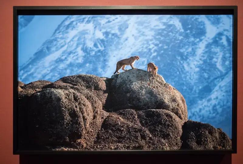 国民党是干啥啥不行，内斗第1名。
王金平搞了个从政感恩餐会，开了172桌，来宾接