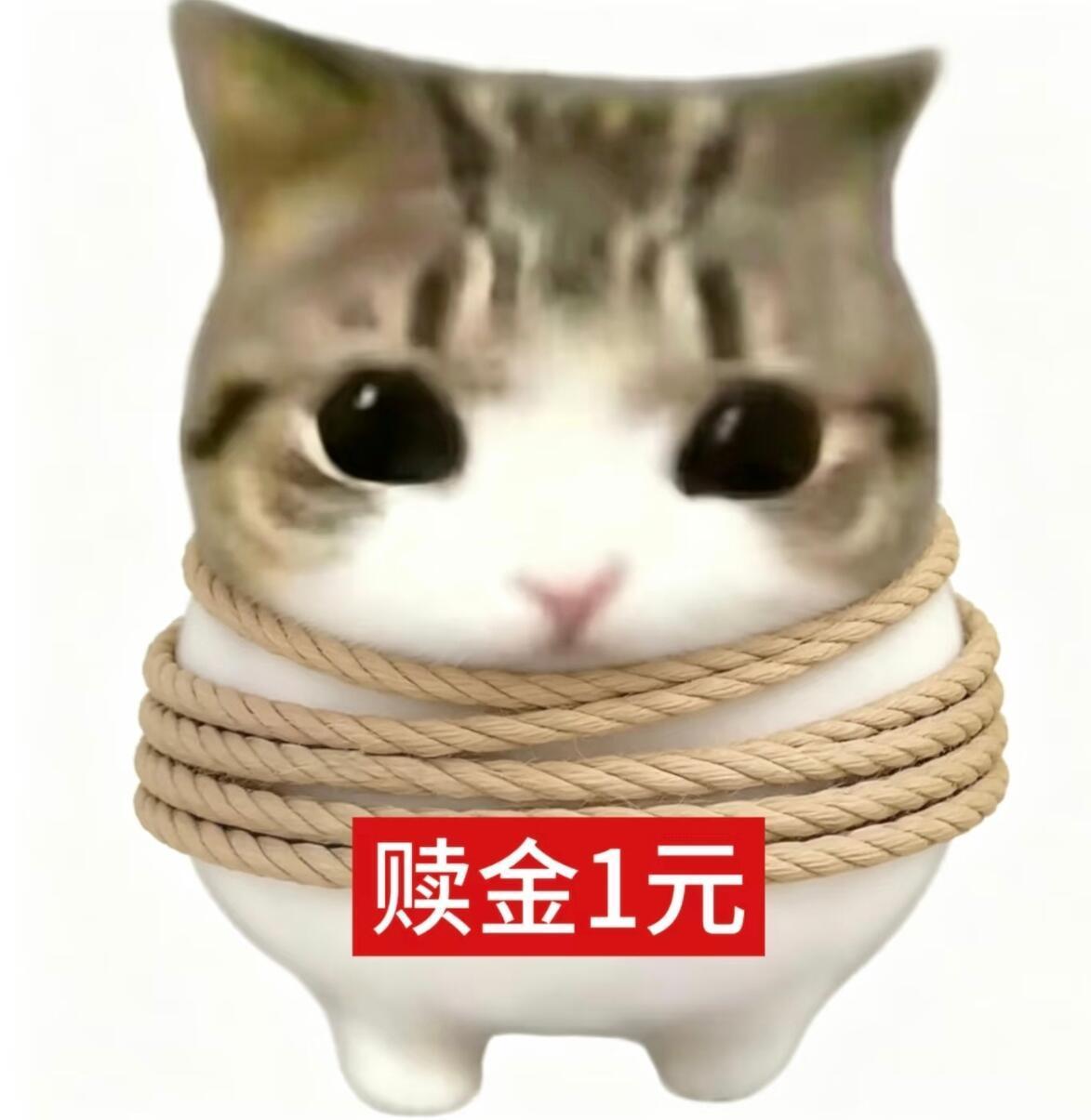 订单比票多，别吓姨行吗 