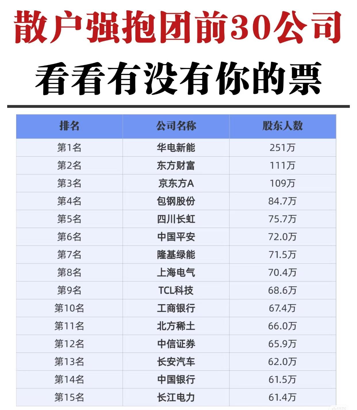 A股市场中散户资金集中持有的前30家上市公司情况，按照股东人数从高到低进行排名，