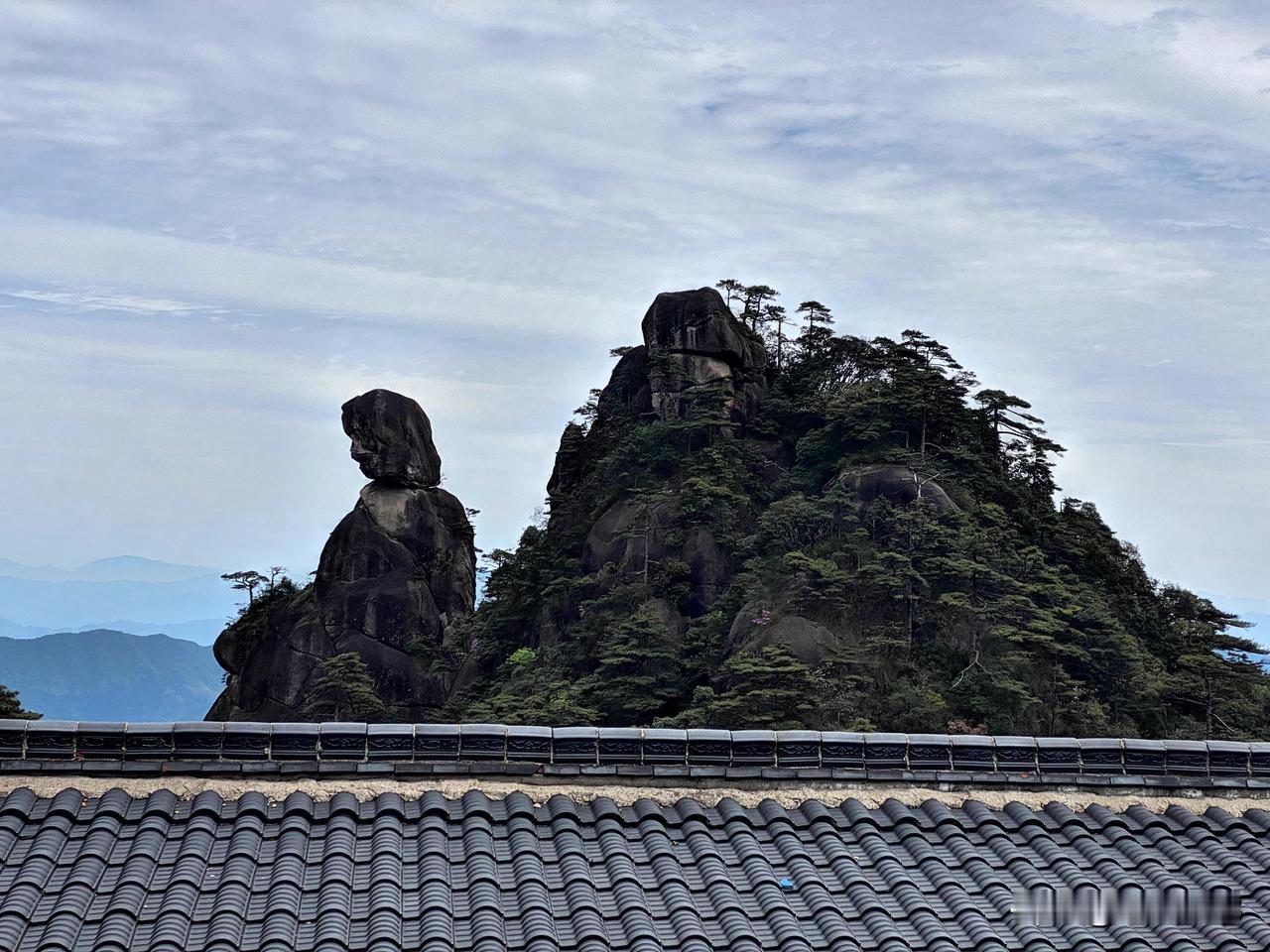 我出去旅游，肯定不带宠物，因为年龄大了，能够管好自己就不错了。
可怜兮兮的小狗，