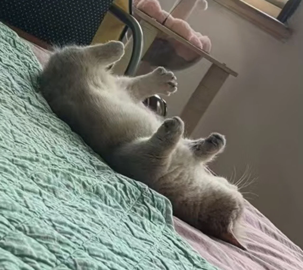 还以为宝宝甲沟炎了