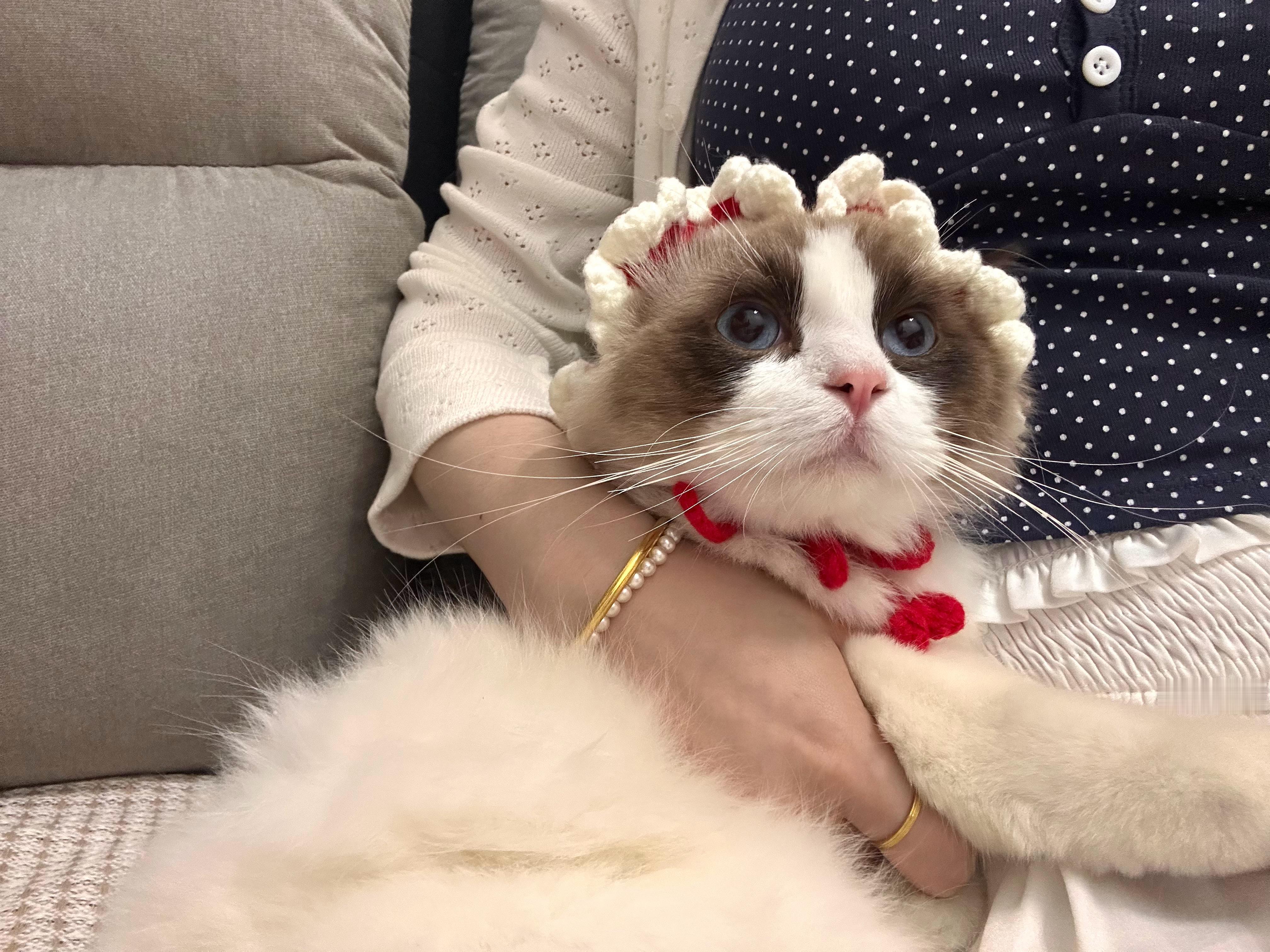 吃了一嘴的猫毛🤩 