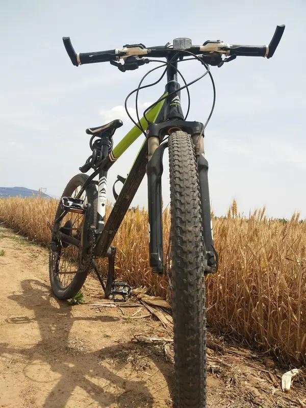 1月28日北京，男子来北京出差“喜提”行政拘留，走路累了偷山地车 ，把车拆了寄回