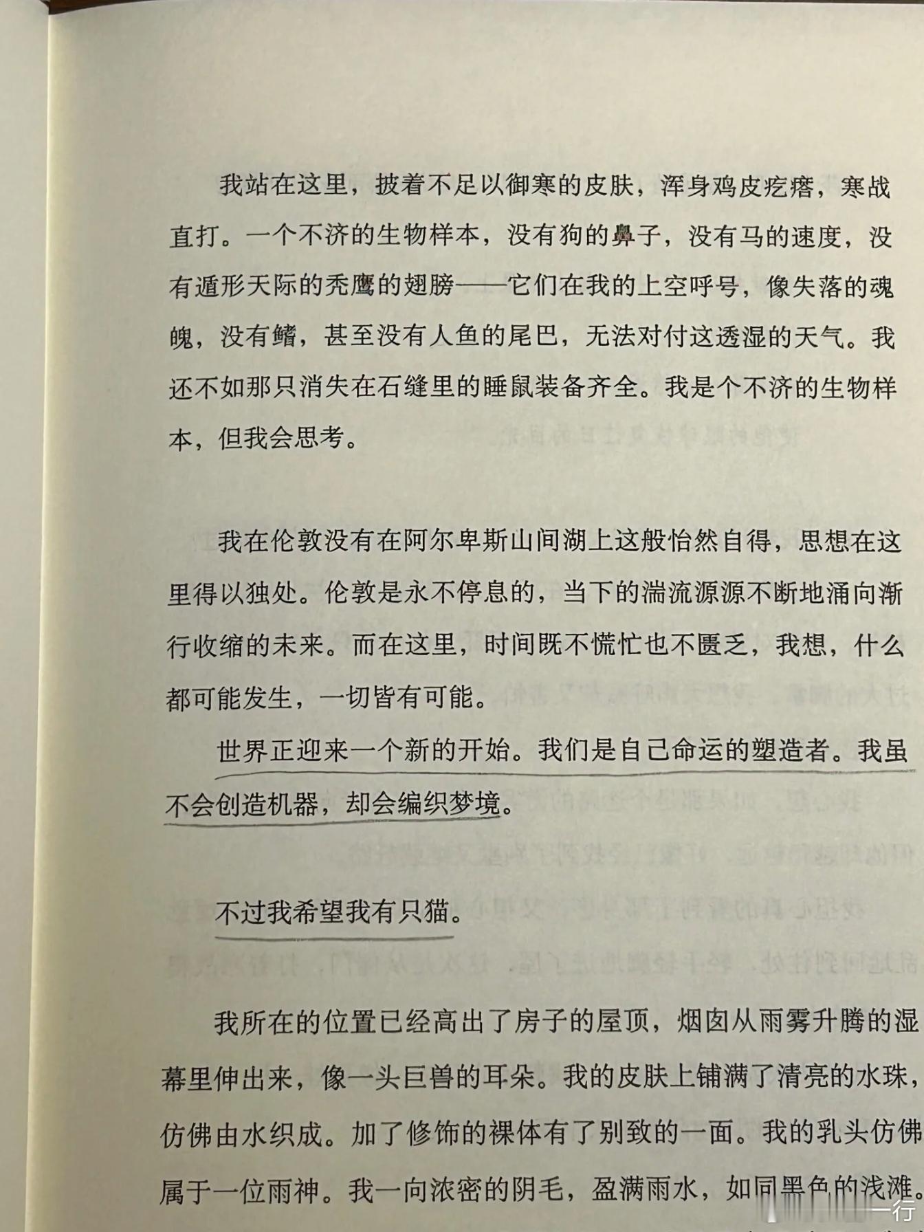 爱是躁动不安的世界之中的乱流。“我们好像溺水者、雪莱说。我们喝着酒、影子投在墙上