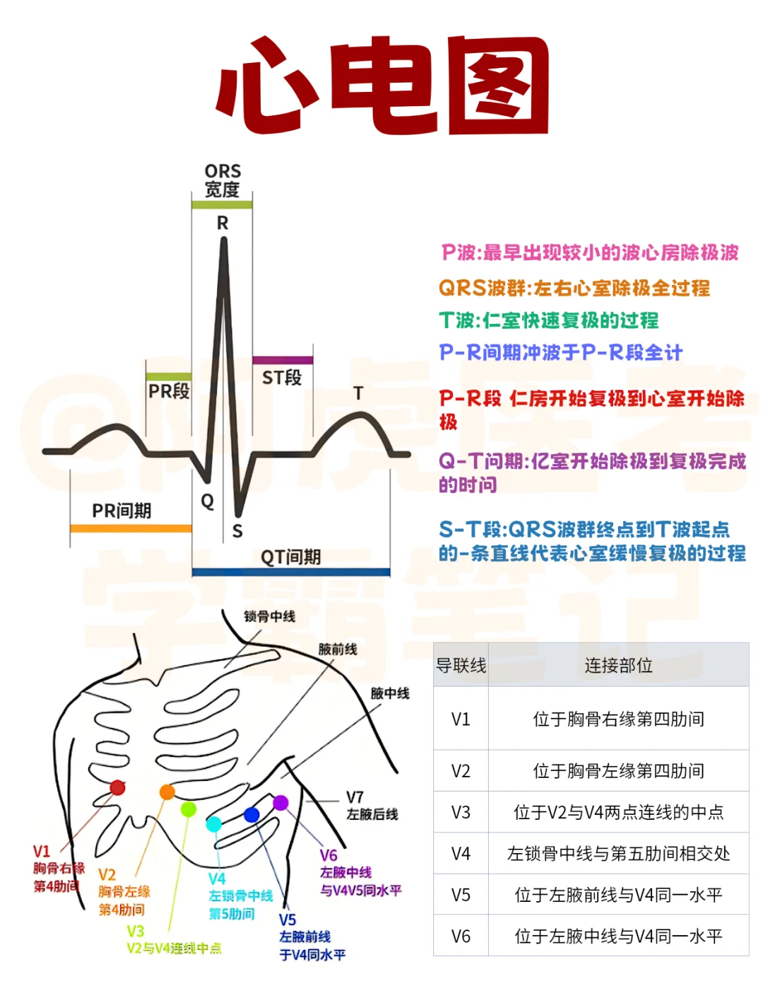 医学生笔记📒｜心电图👆