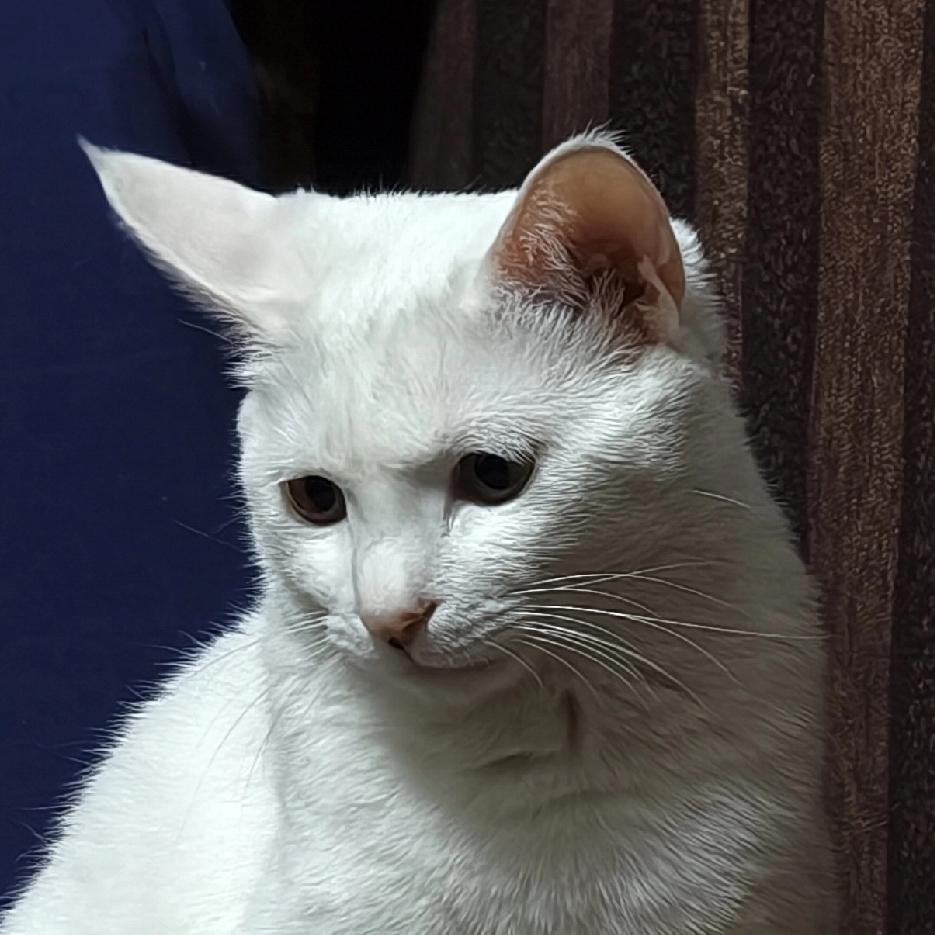 你对300万怎么看？

个人觉得，国加工作人员与其他类人员不同，哪怕是多出一分钱