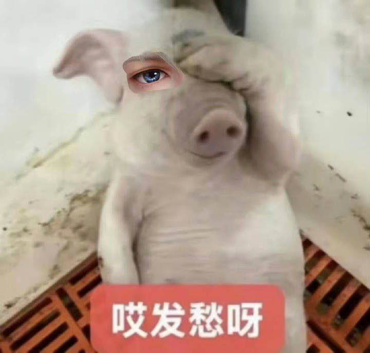 学不会沉肩 