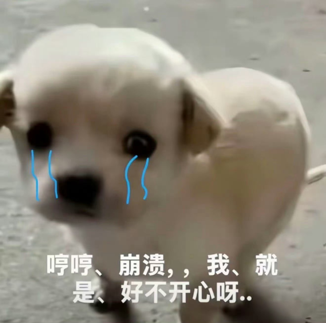 起床了，到底要不要办个酒席庆祝一下 