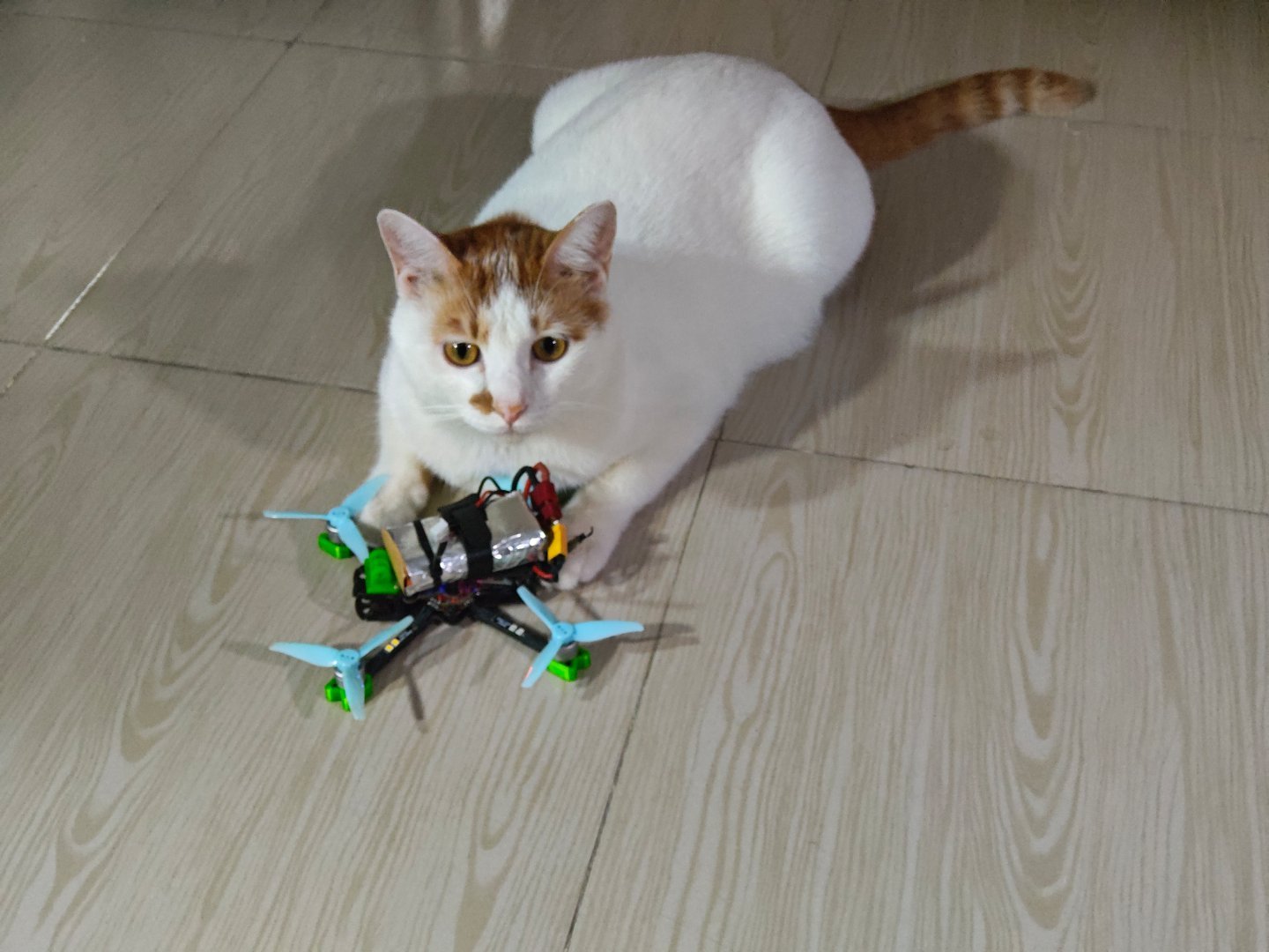 试着解析一下，为什么一些人想要别人去评价自己，例如有一些朋友圈会出现“你觉得我像