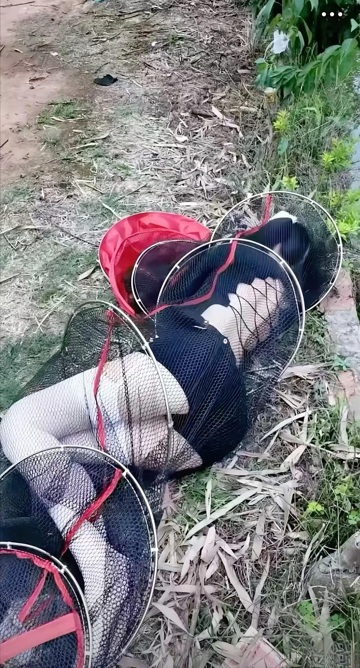 钓到一条美人鱼带回家没问题吧！