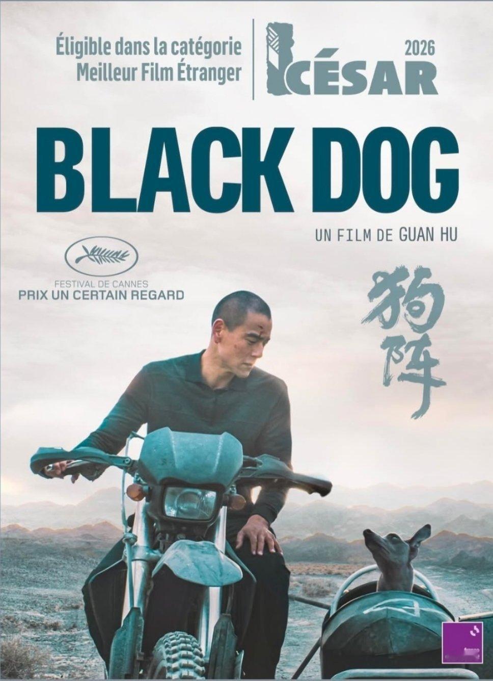 电影狗阵法国凯撒电影奖电影《狗阵》 入围「最佳外语片」电影狗阵 永远响亮