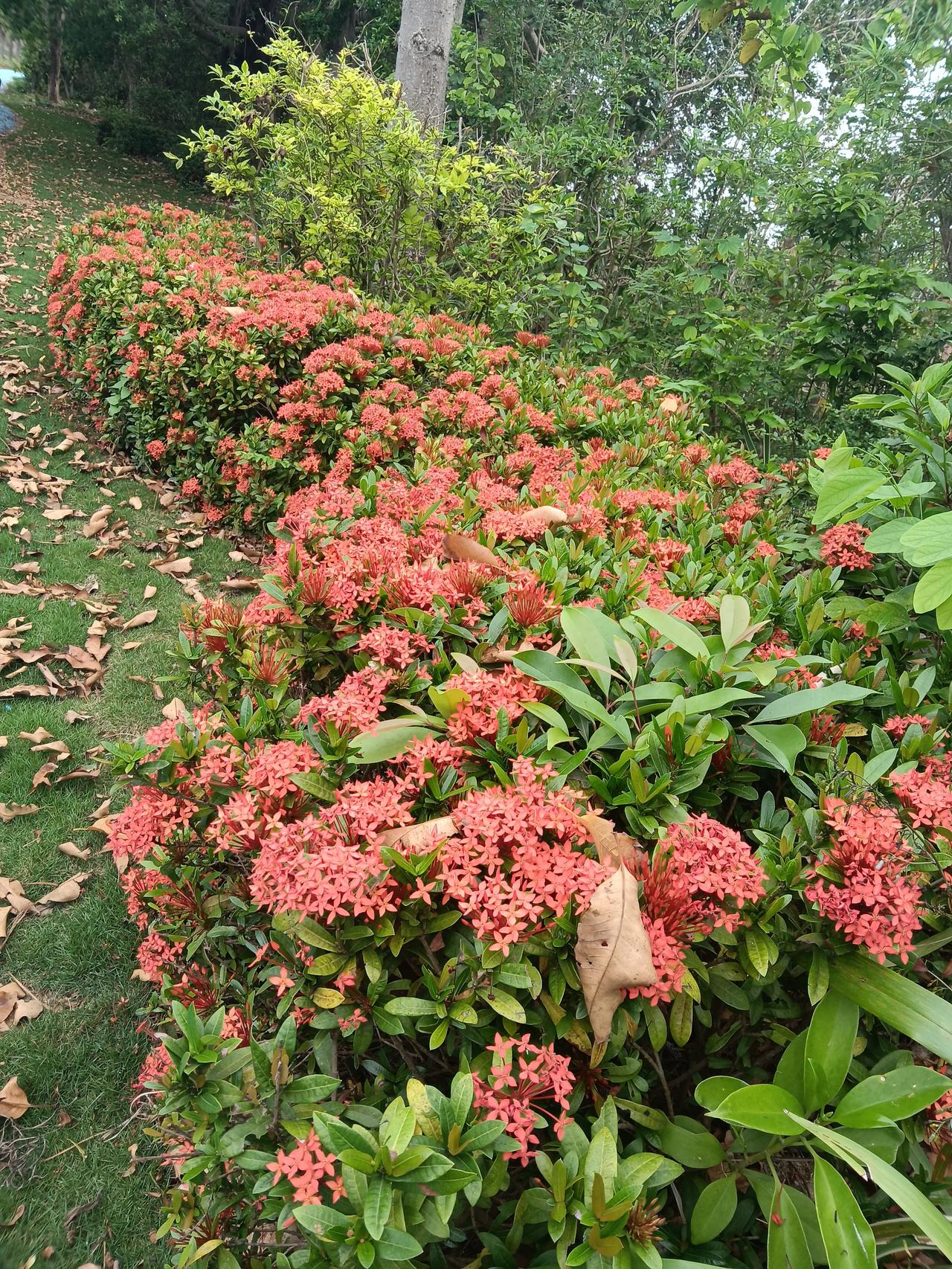 紧急提醒！4月1日起，医保卡里这笔钱将清零，很多人还不知道
正文：
家人们，重要