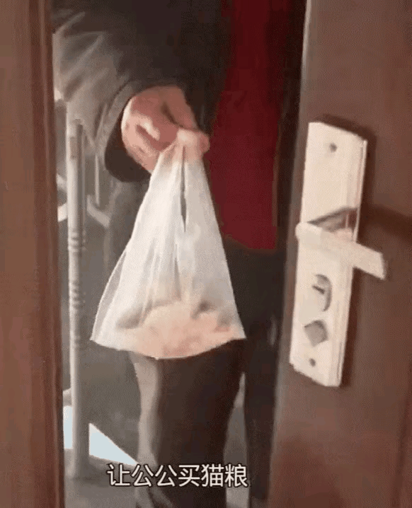 实在太搞笑了！一位小姐姐养了一只猫咪，平时就非常疼爱它，最近她的公婆来她家住，正