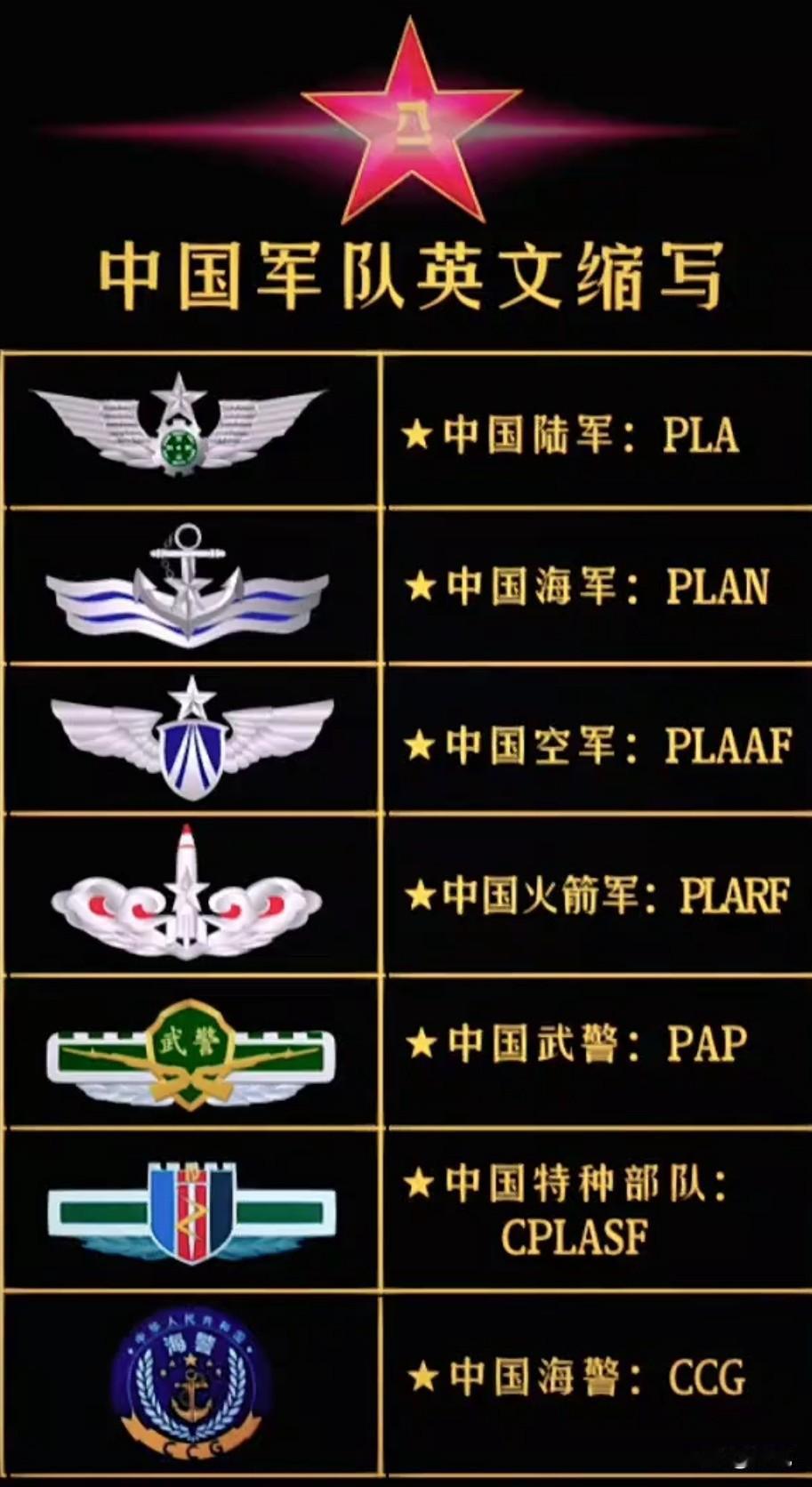 中国军队一般英文缩写是PLA，也就是People's Liberation Ar