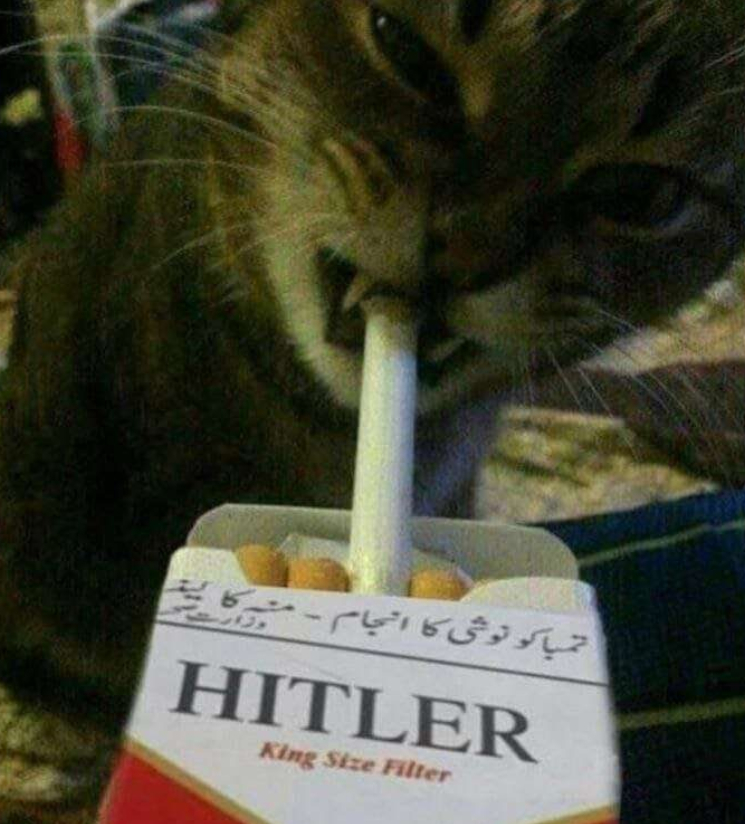 分享图片 ​​​