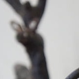 如果让一个人从心里喜欢你认可你，绝不会是因为你的那些身份与头衔，而是你究竟是怎样