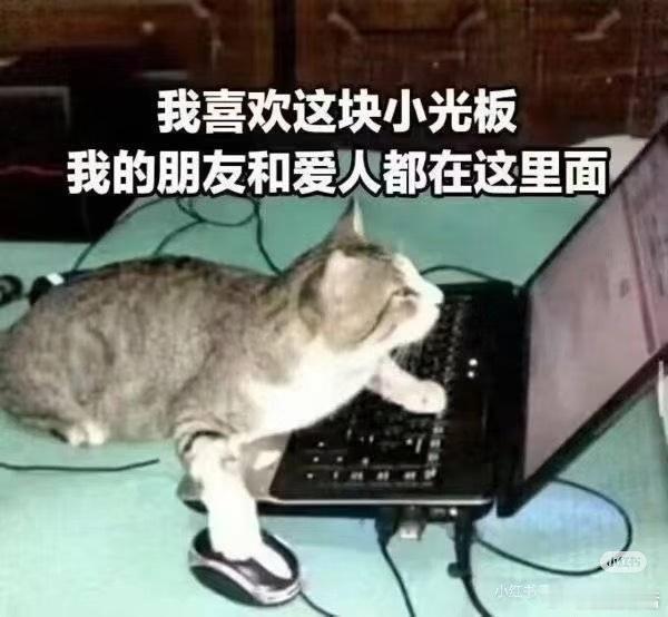 当我提出要模仿美女艺人拍照我那昏了头失了心智的闺： 