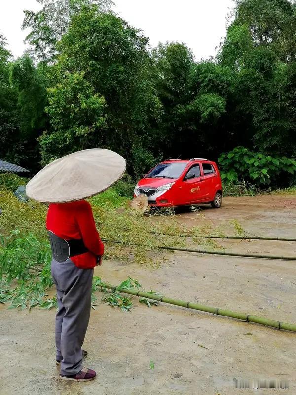 必须有！回村最慌的就是电量告急，放眼望去全是充电桩空白区，想充个电比找停车位还难