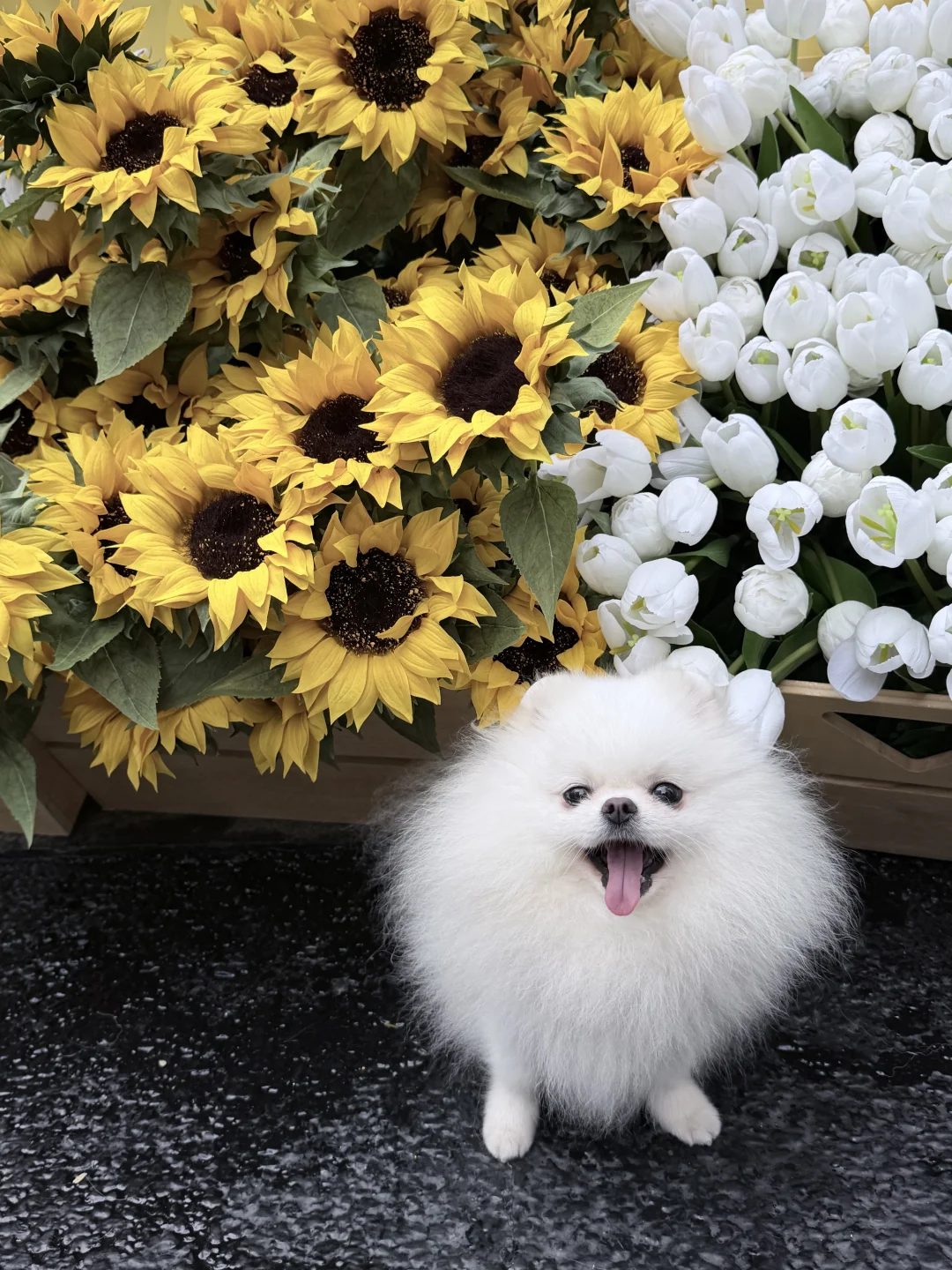 🌻