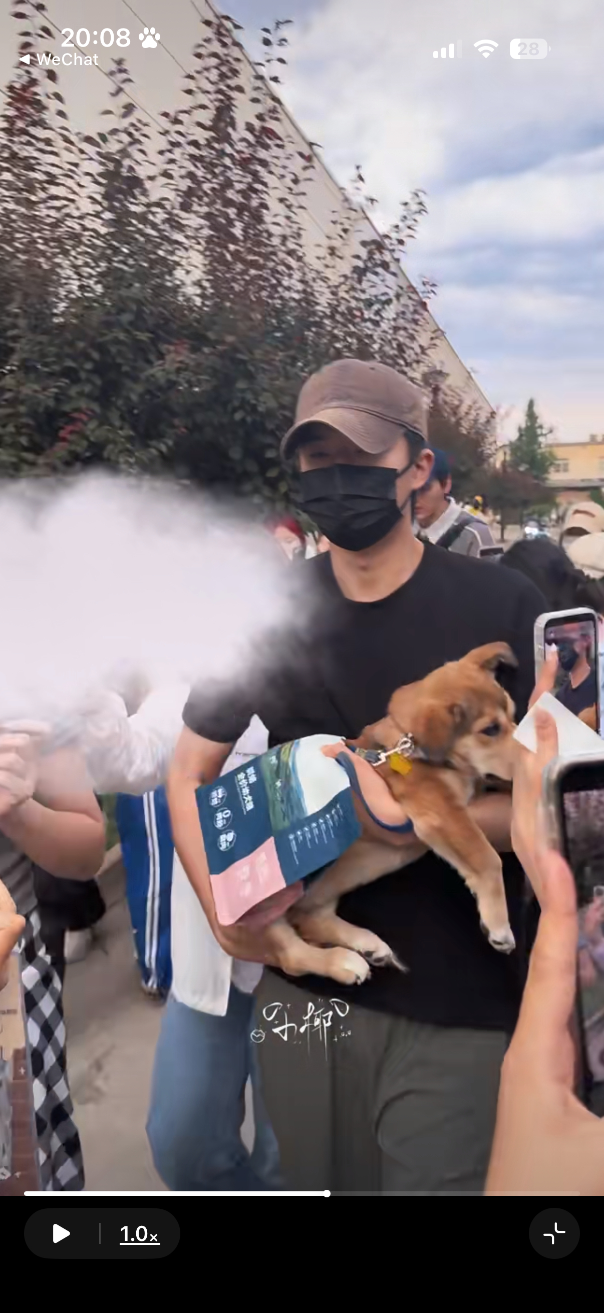 来财好乖啊而且这一路上伸那么多手过来也没要张嘴巴咬 