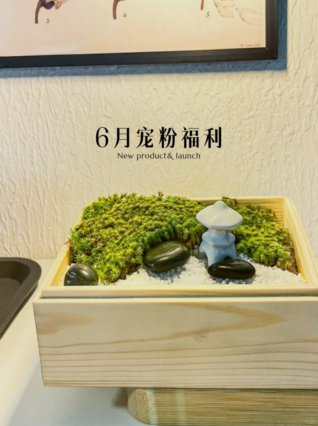 六月抽奖福利！接高考幸运锦鲤～