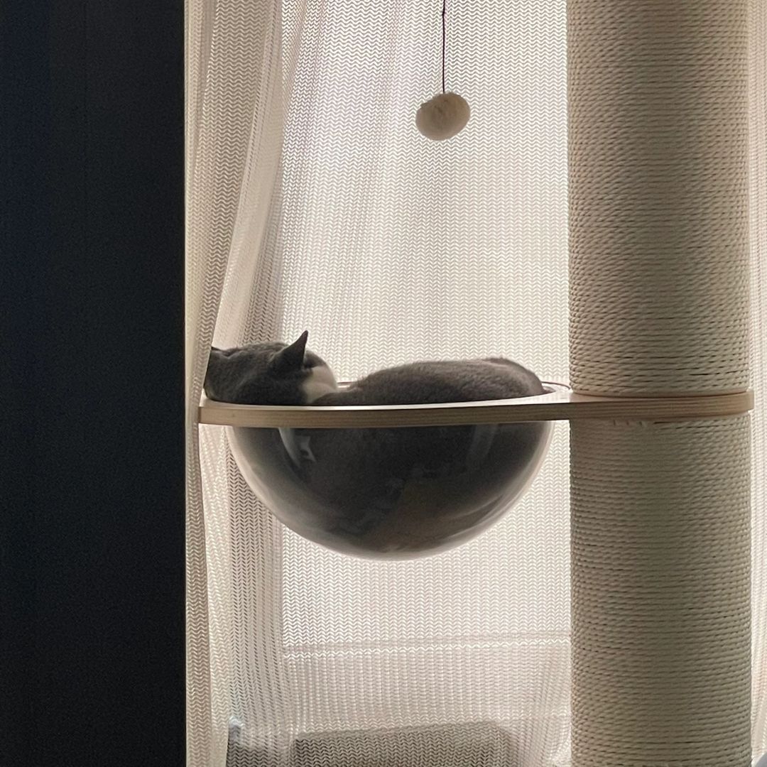 福都咪享了