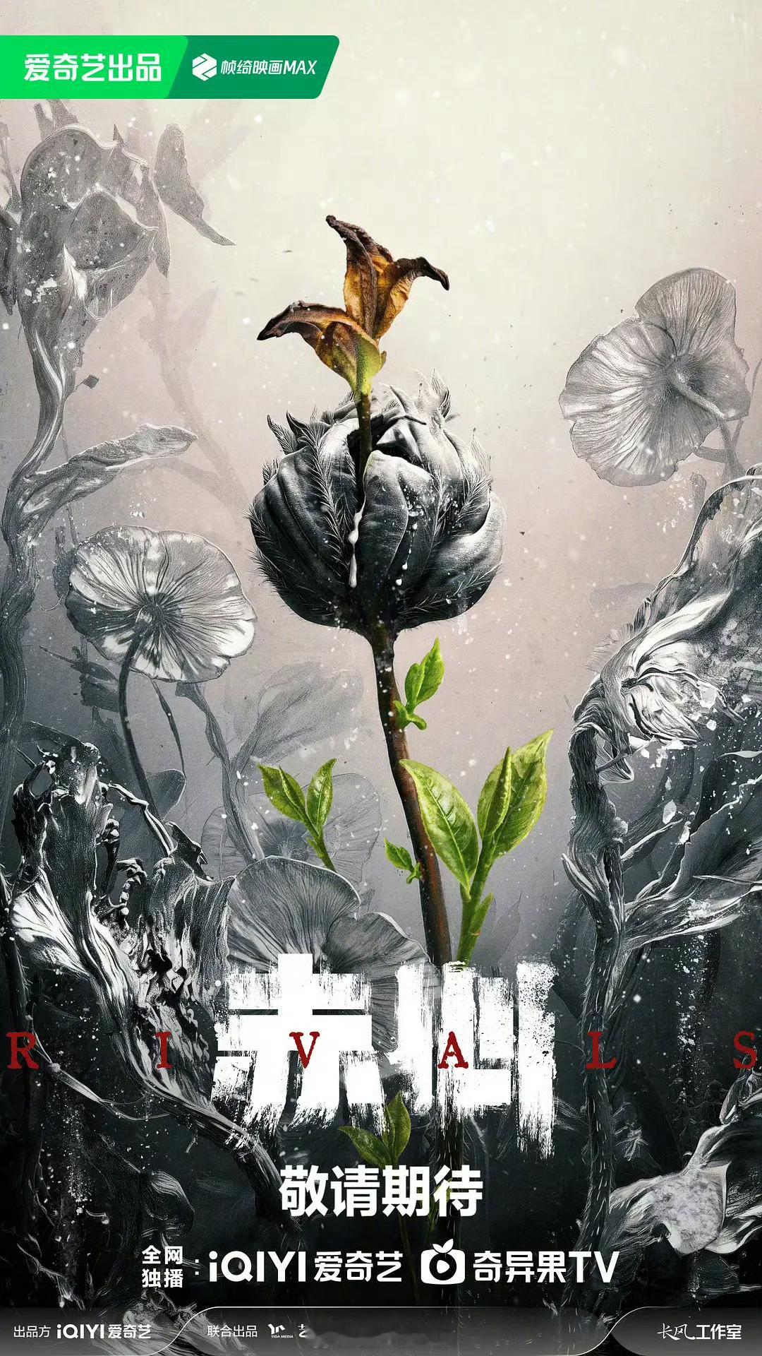 电视剧《赤心》组讯出品：爱奇艺、陕文投导演：刘新《不可告人》《猎狐》编剧：李松《