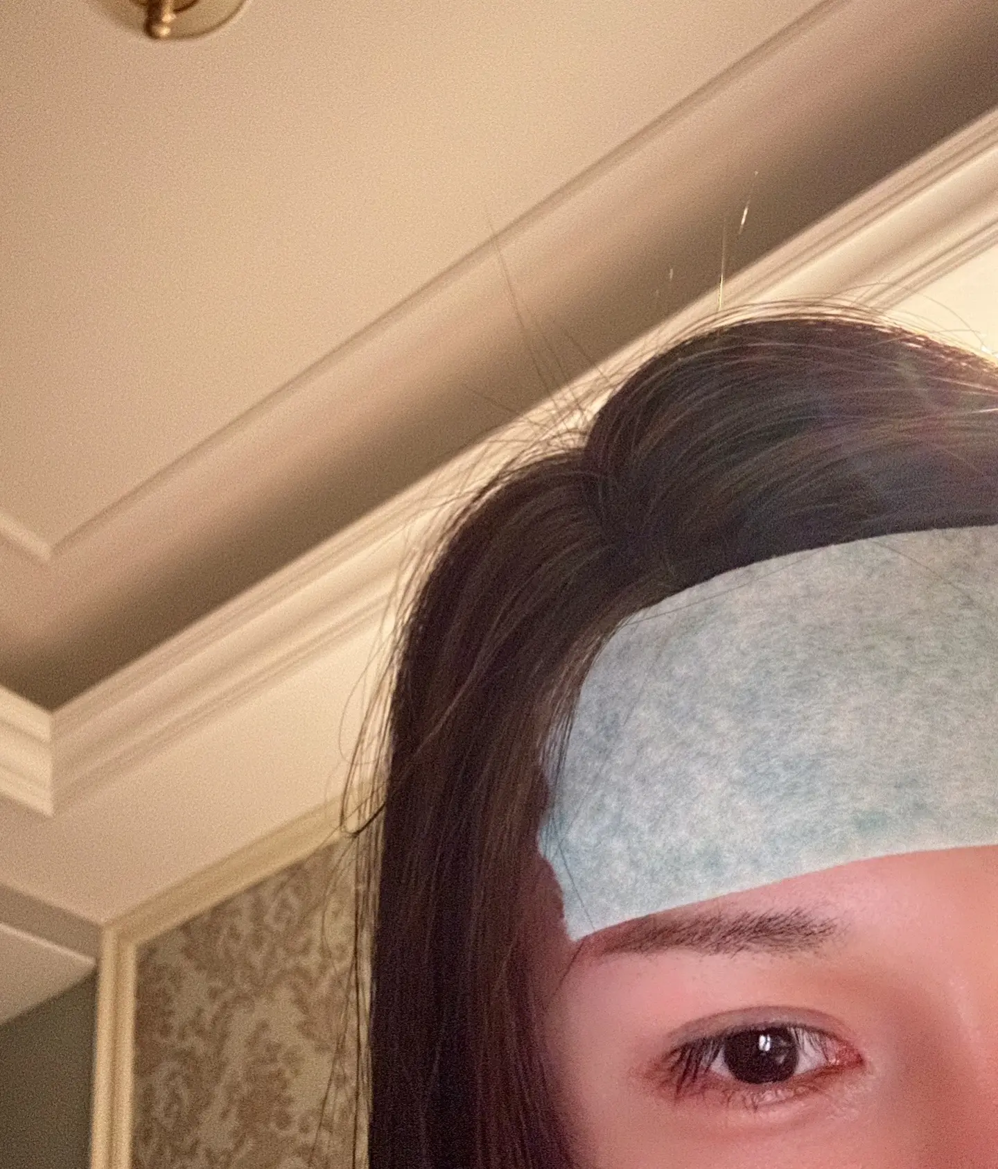 快点退烧吧退退退！！！脸都烧出腮红了救命😵