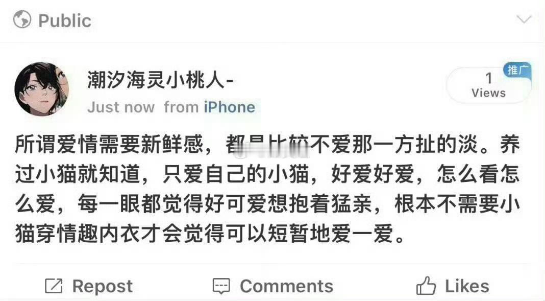“养过小猫就知道 爱不需要新鲜感 ​” ​​​