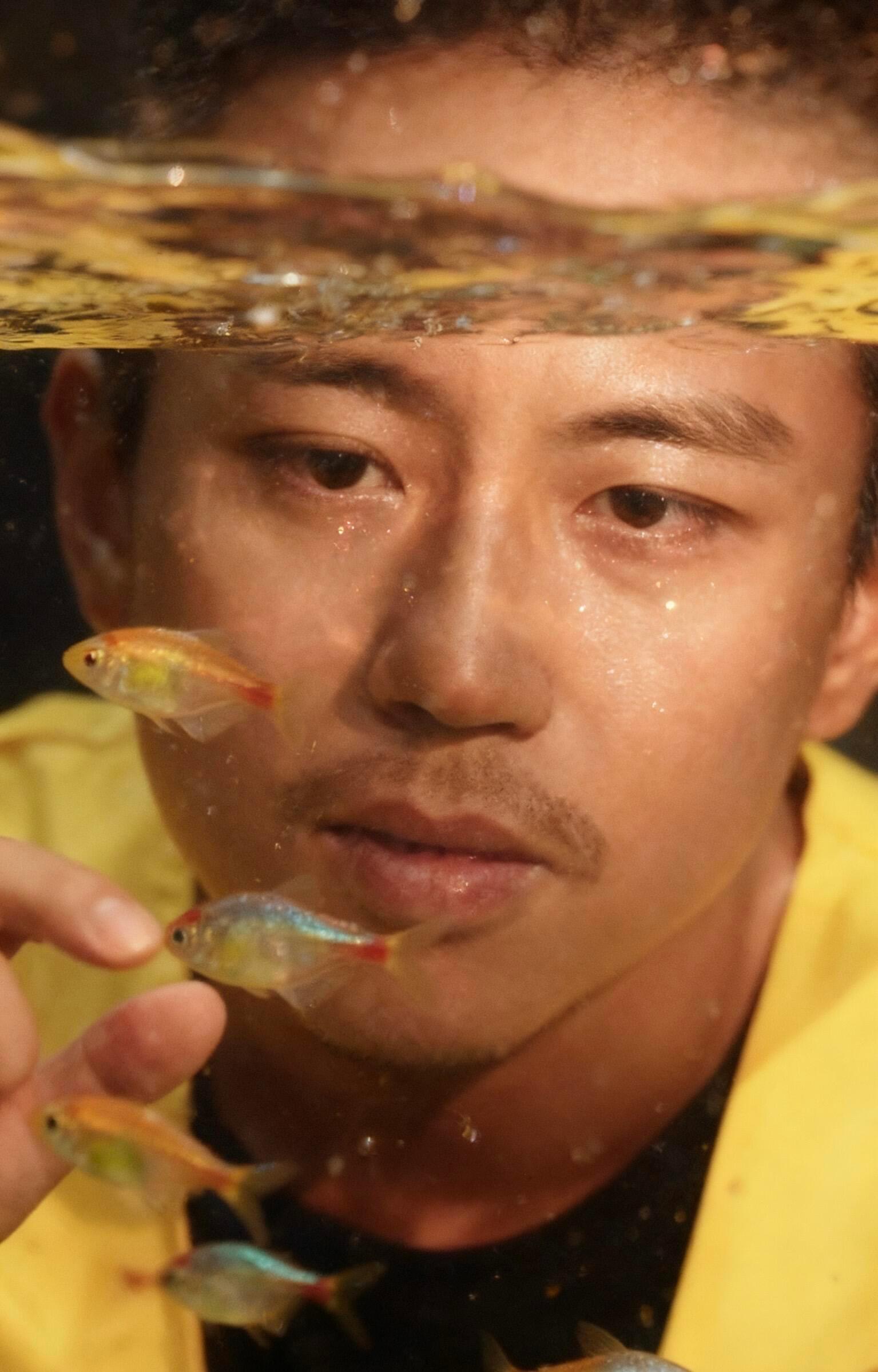 一组情头 ​​​