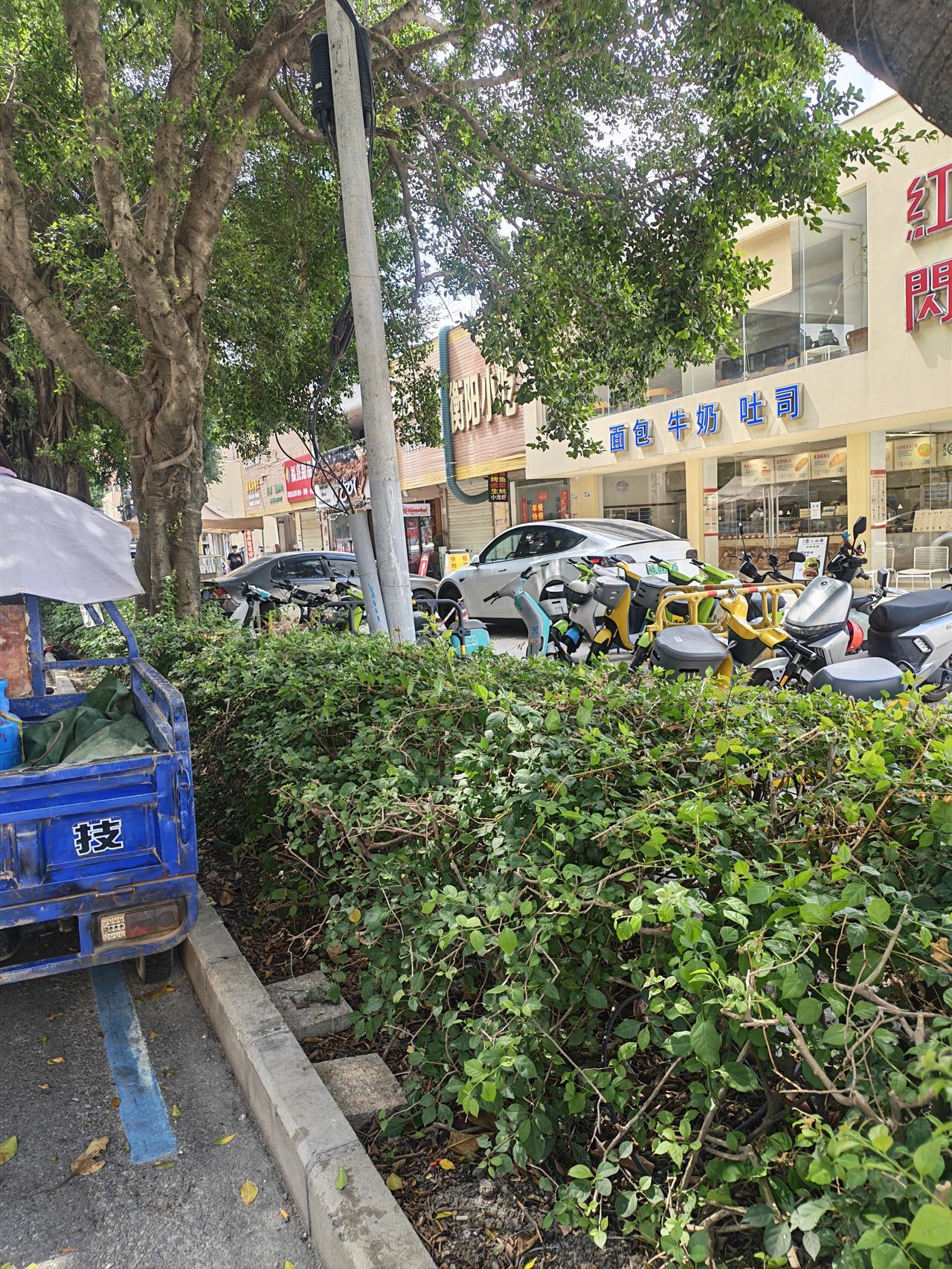 记录我的2026从来不知道这条路是长这样子的，这些年光明变化太大了，让我看到了每