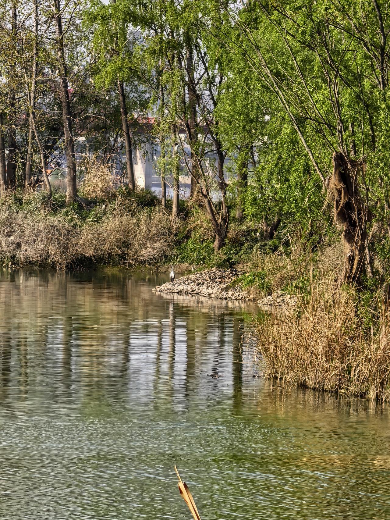 很多人都把长生不老想象的极为复杂，甚至根本不相信人能够做到长生不老。然而，在悟道