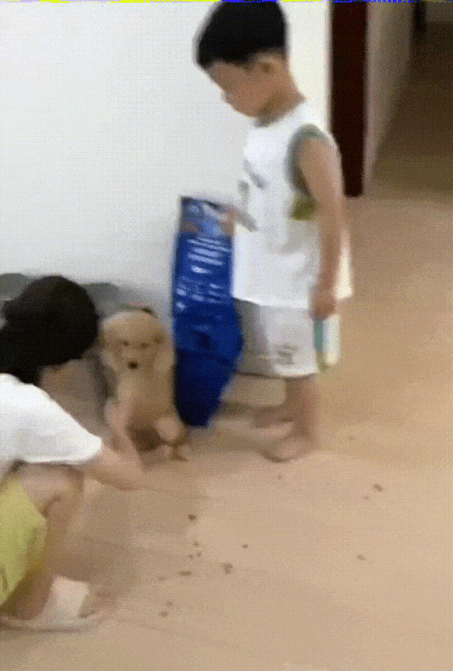 好兄弟，以后我的狗粮你先吃