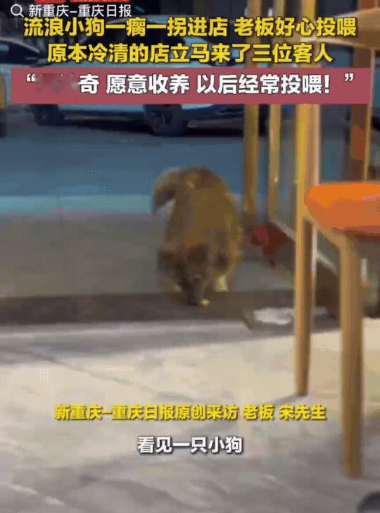 “解释不清了！”陕西西安，宋先生的餐馆半天没有顾客，准备关门回家时，喂了流浪狗，