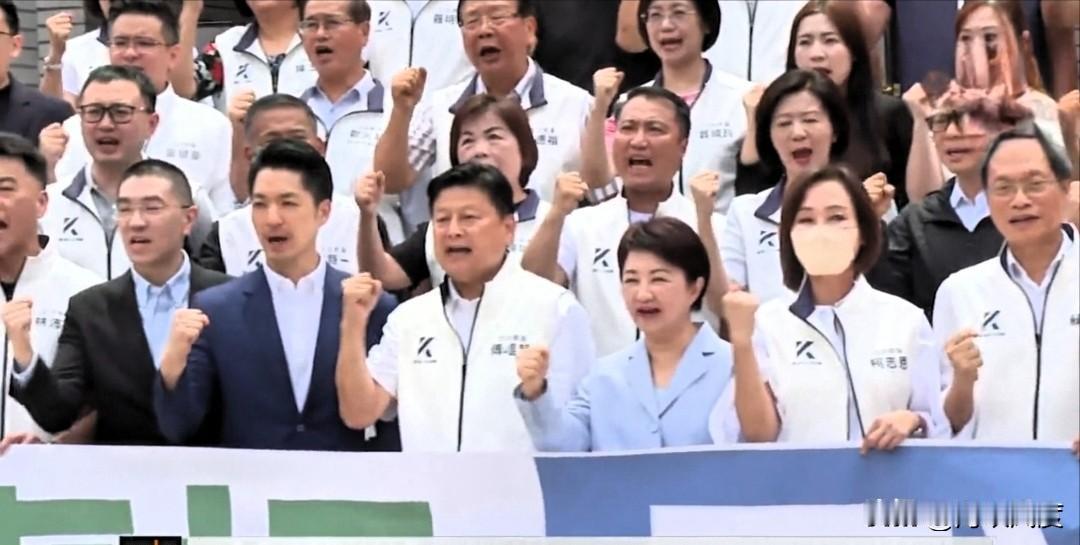 今天，国民党两大动作高调亮相！卢秀燕、蒋万安、谢国梁与蓝白立委联袂集结，陈以信召
