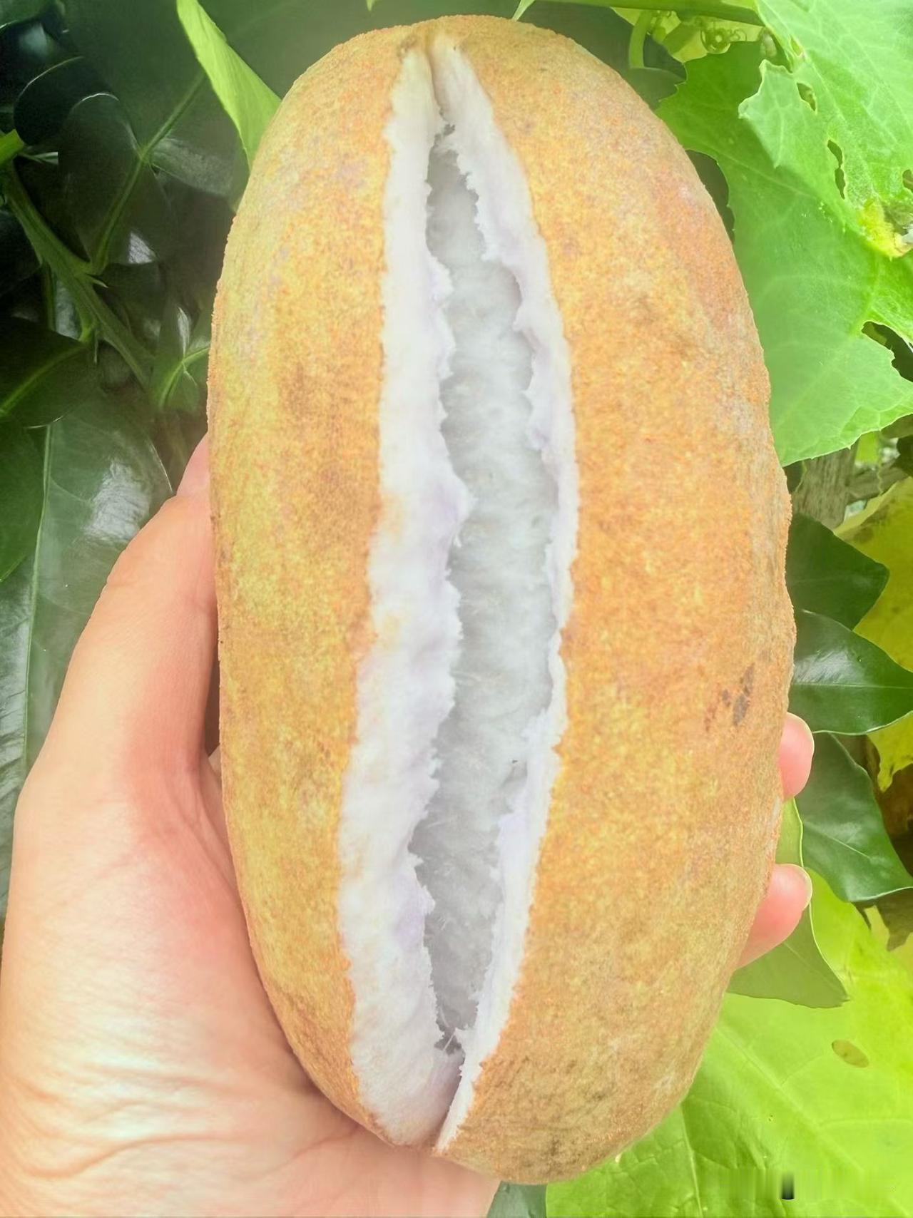 前阵子带我妈去做常规体检，明明只是62岁老人的年度基础筛查，开单的医生硬生生加了