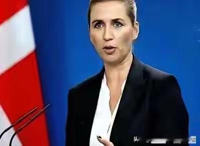 丹麦用中国威胁特朗普，继续胁迫会把我们推向中国
 
莫非丹麦研读了中国战国时期的