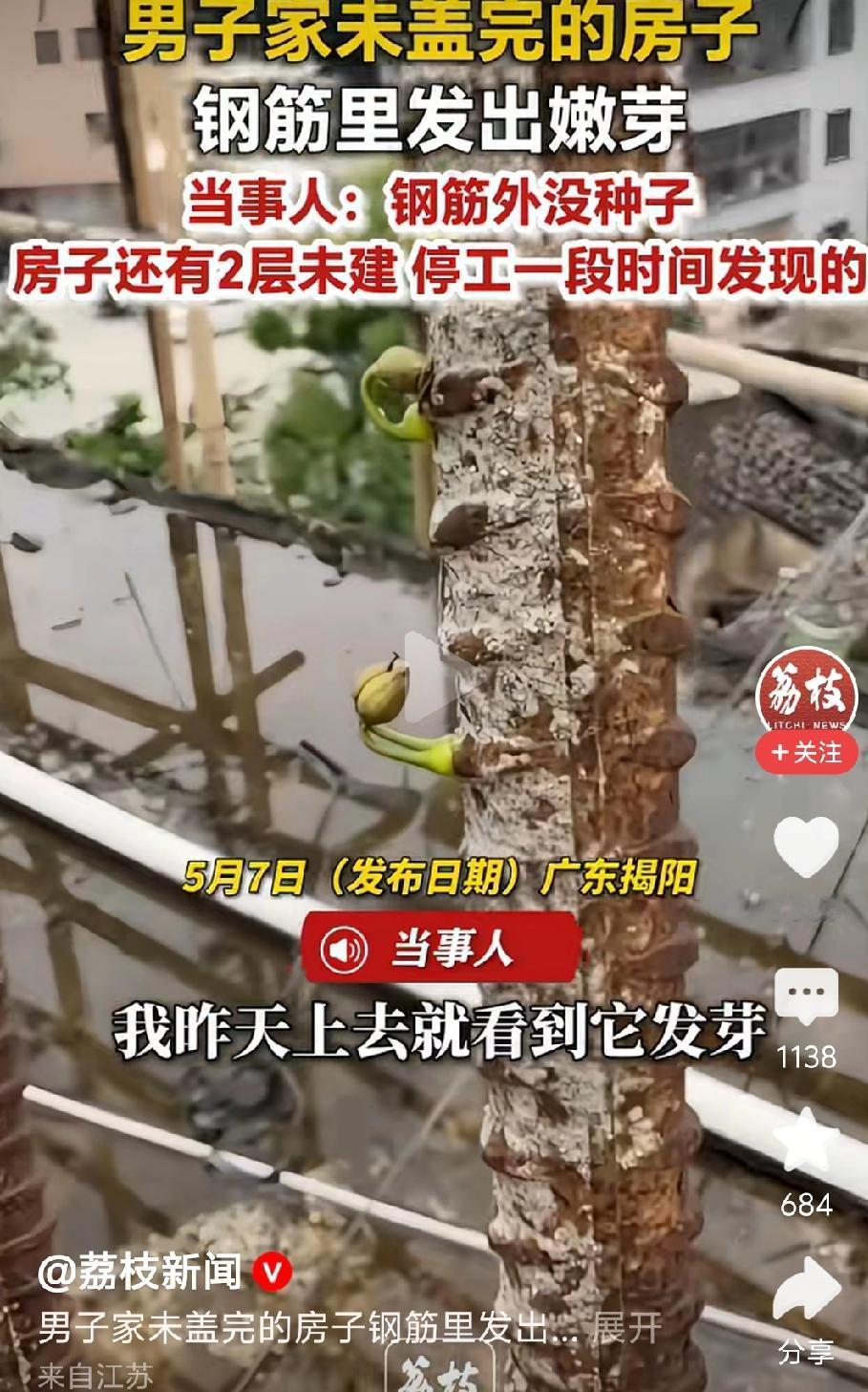 你见过铁树开花吗？
下面就见到了[大笑]