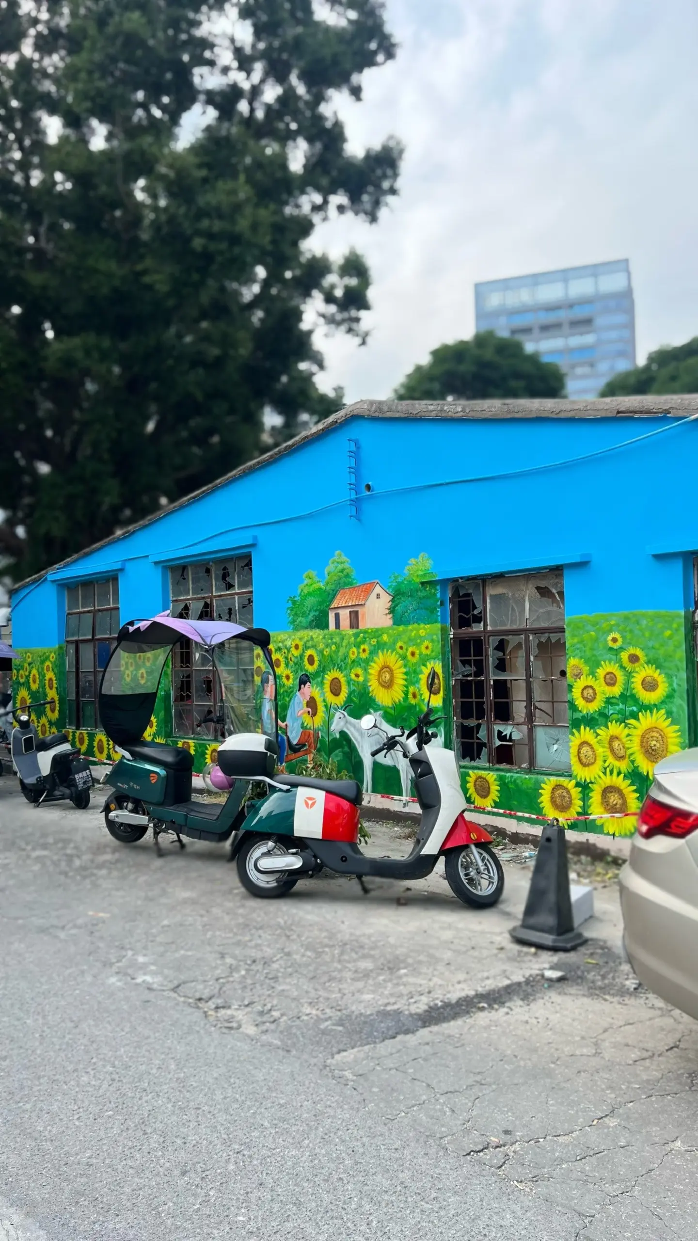 改造村里破旧老房子，给房子画一片向日葵风景，我在向日葵花海放羊喽🎨广...