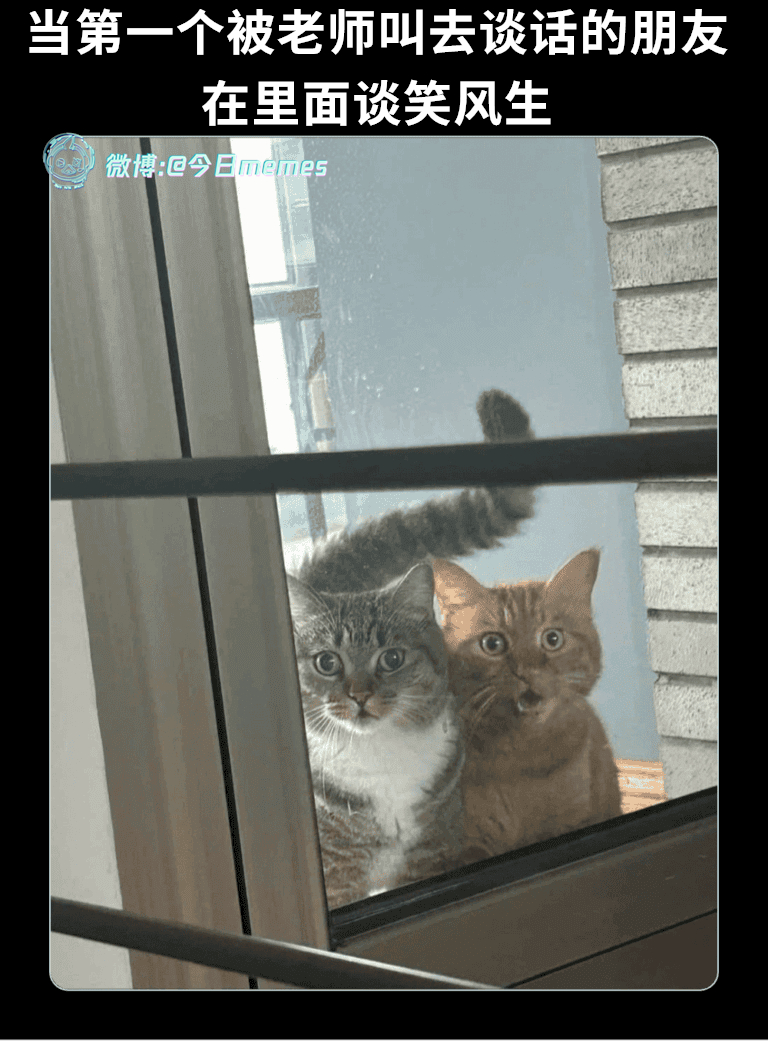 话匣子（9gag）今日meme 今日memes