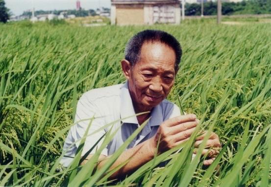 黑红也是红？[捂脸]
有人为了流量，真的是一点是非都没有了
竟然连张桂梅老师，袁