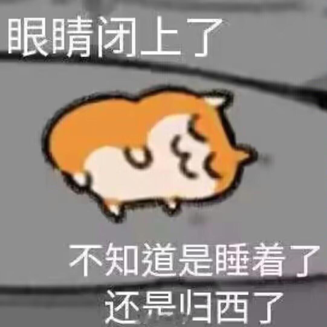 崩坏星穹铁道崩坏星穹铁道星穹铁道万敌 明天就是新版本了，我已经不敢奢望有万敌了好