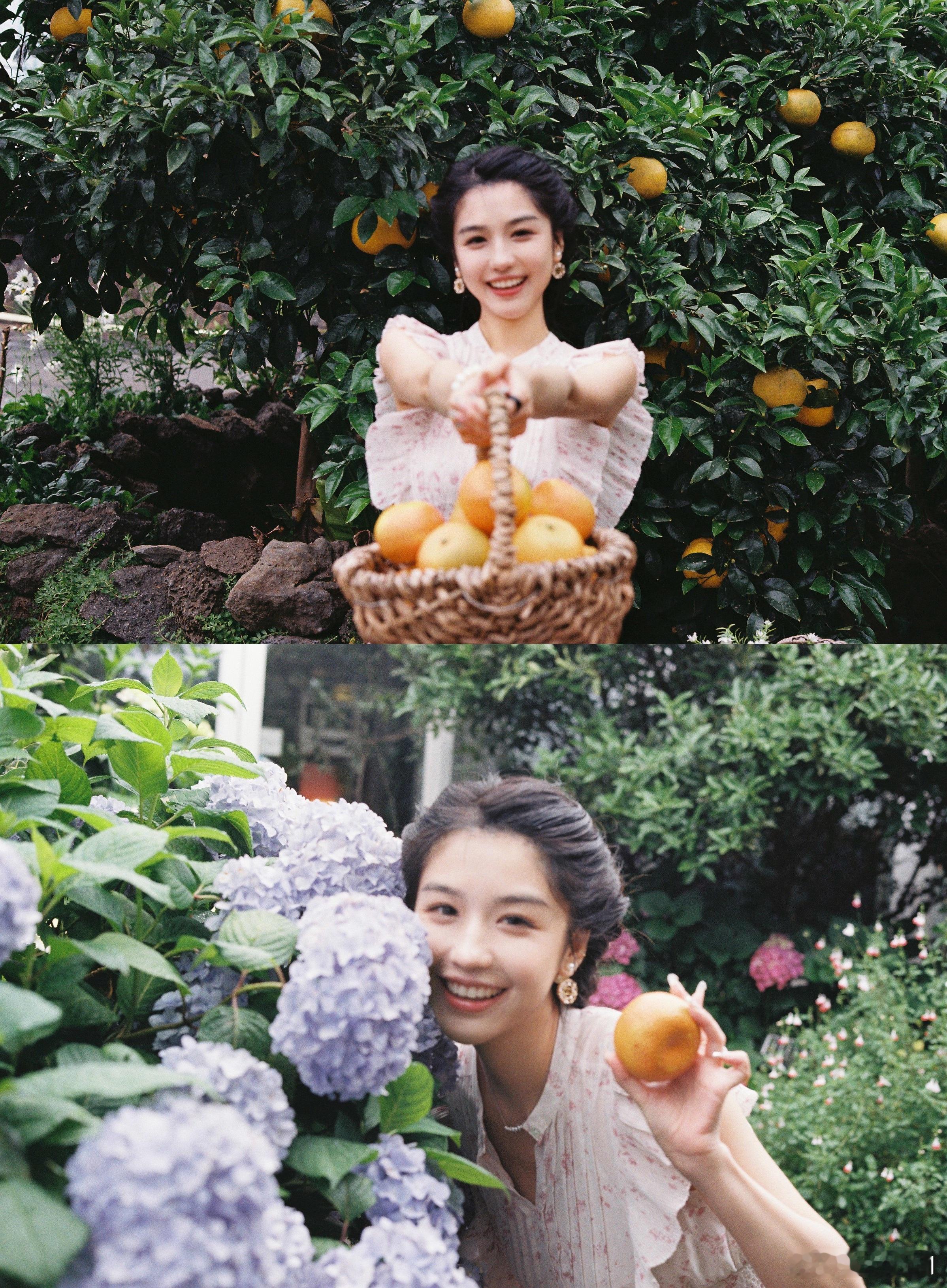 🍊 ​​​