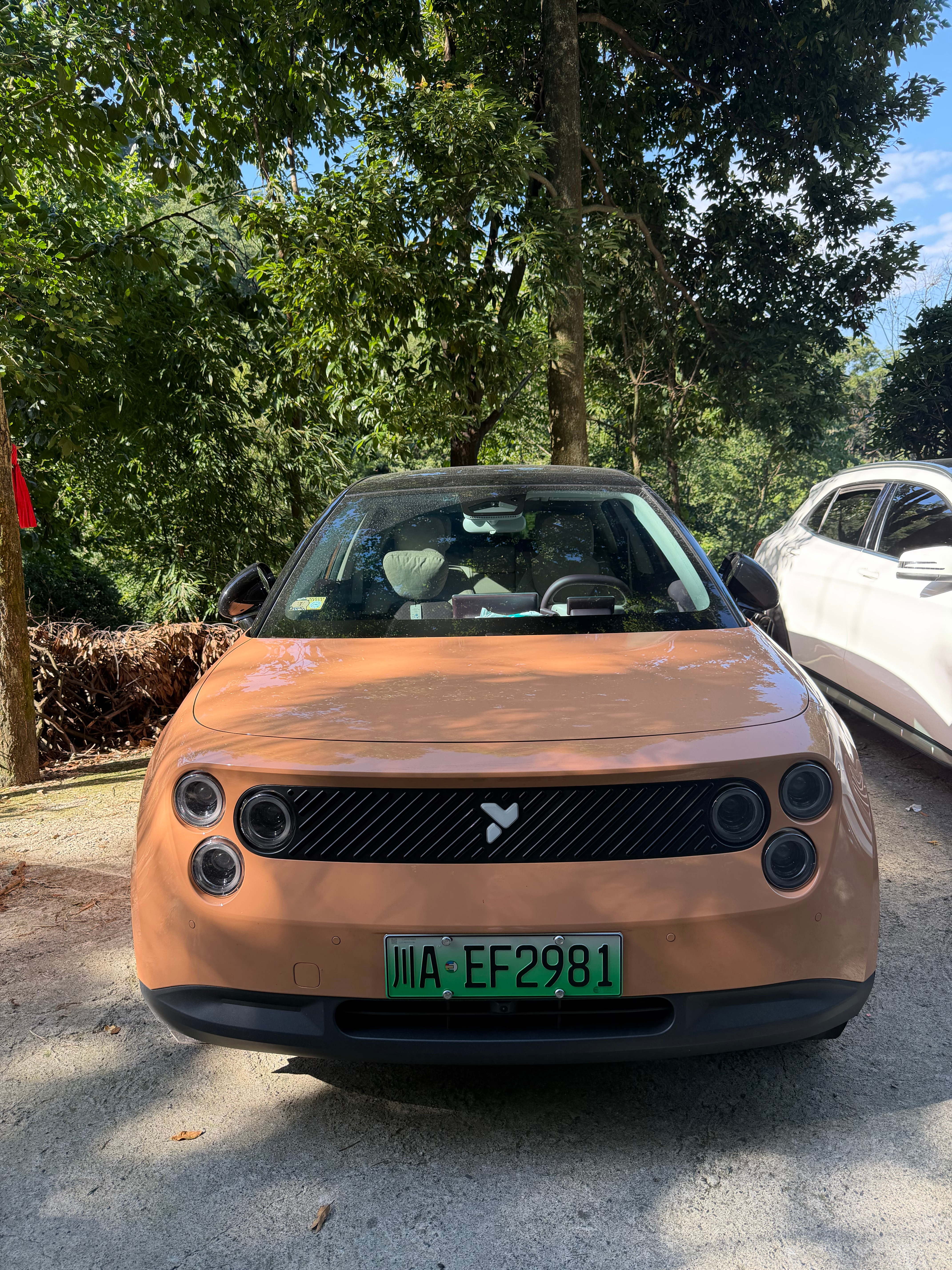 萤火虫这个颜色真好看，官方色吗？俺有个两个小姐姐好朋友这个月买了两台，我看她们都