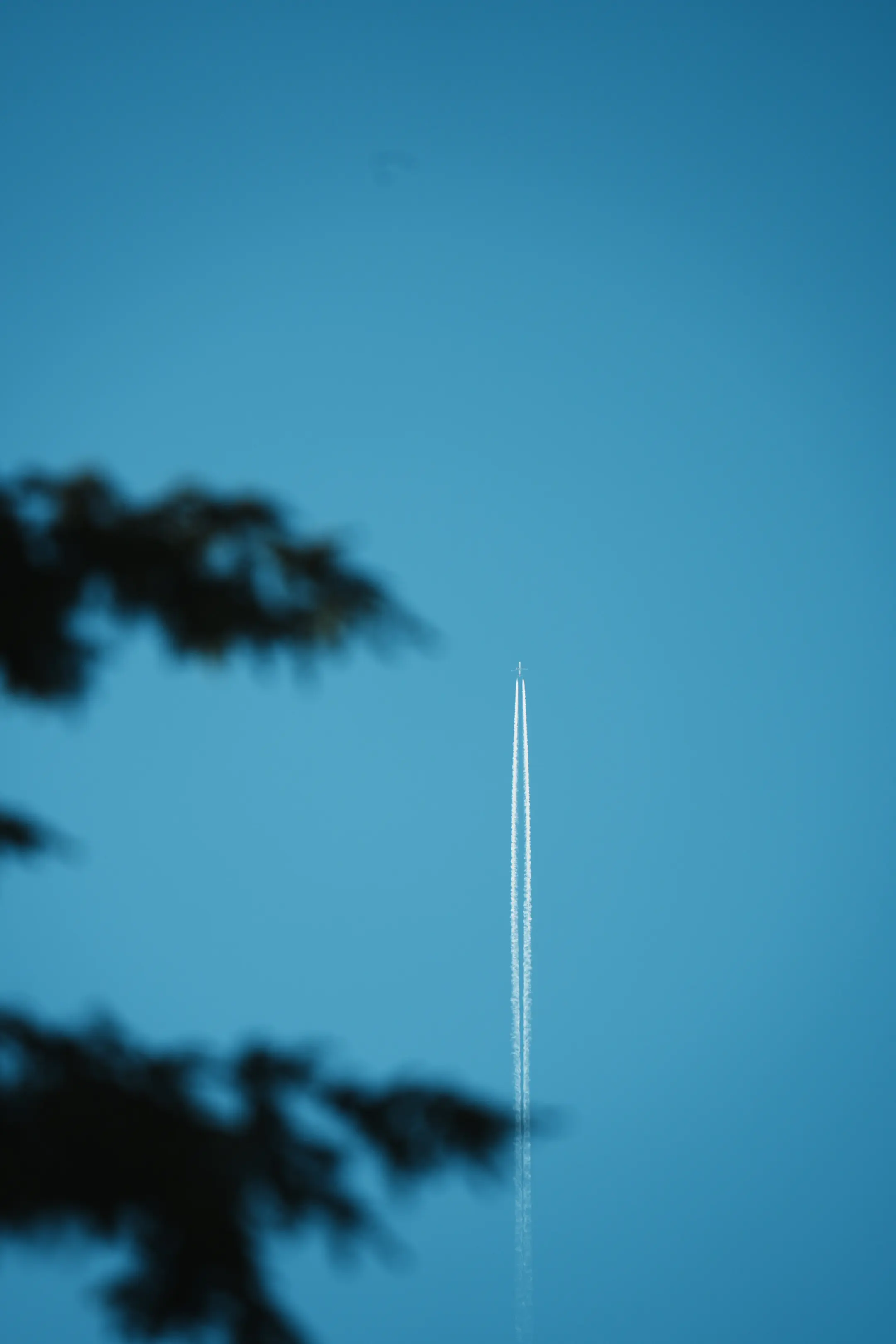 他拍