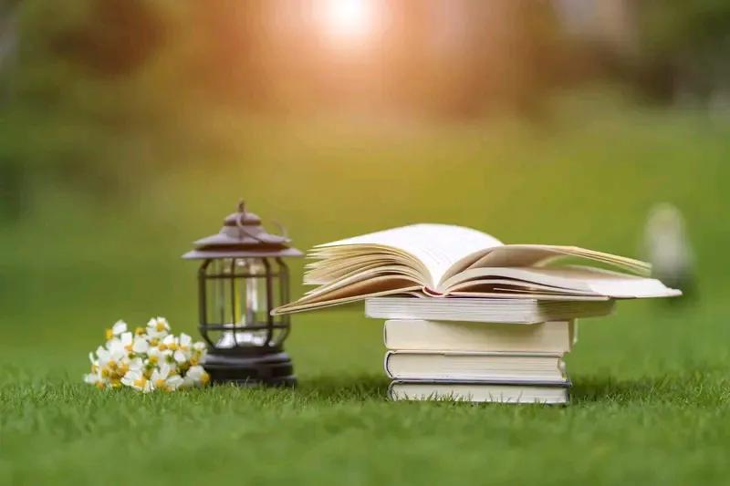 初中学习感怀
卷中自有卷中王，
强中更有强中手。
莫论他人长与短，
一山还比一山