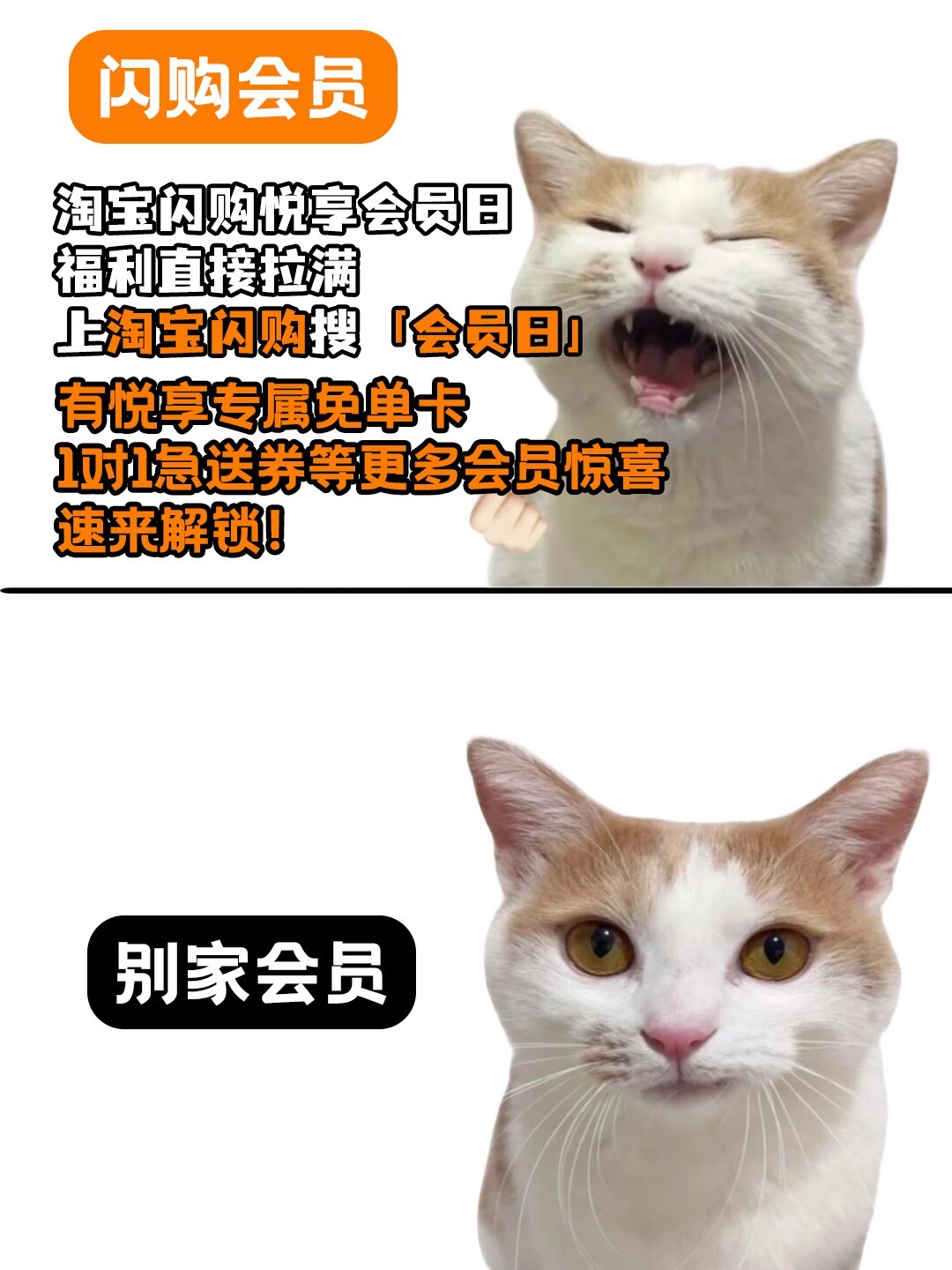 淘宝闪购会员日每月17日解锁专属权益美团会员外卖会员美团神券居家看球美食7月17