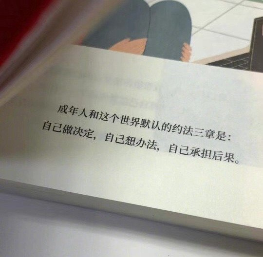 成年人和这个世界默认的约法三章是：“ 自己做决定，自己想办法，自己承担后果。” 