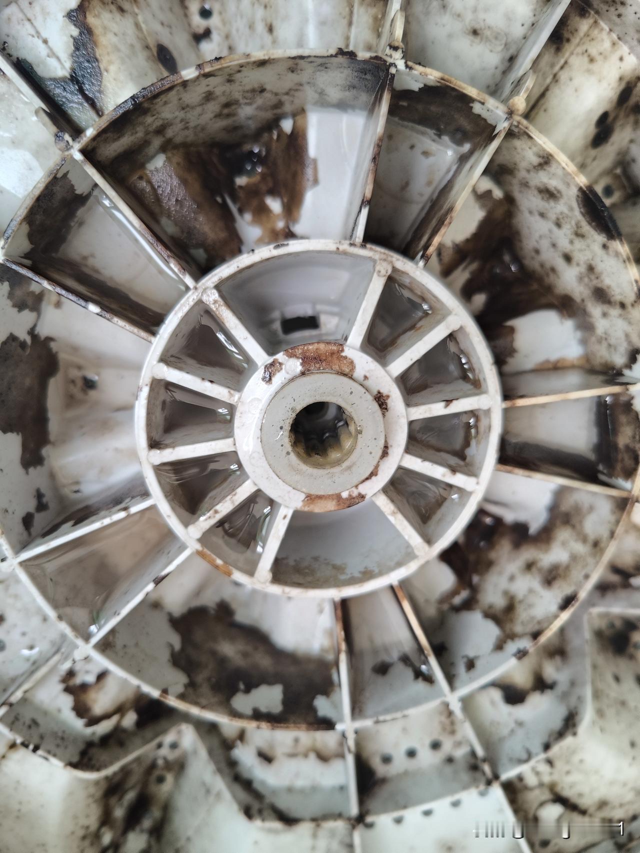 清洗洗衣机
昨天清洗被罩时，我发现拉链头不见了，猜想它或许掉进了转盘下面。于是，